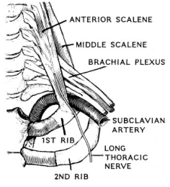 outlet of thorax