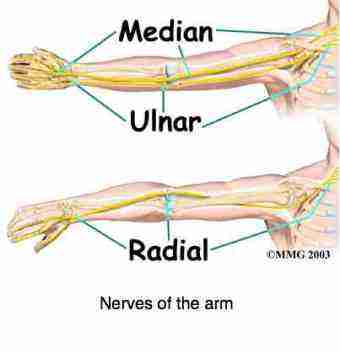 Upper limb tension test is for arm pain; is it caused by a pinched nerve?