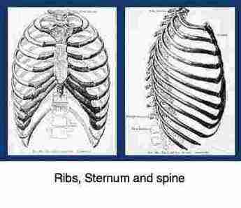 Thoracic spine pain is rarely serious but often very irritating.