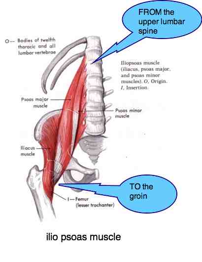 Developmental hip dysplasia casefile tells more about chiropractic.